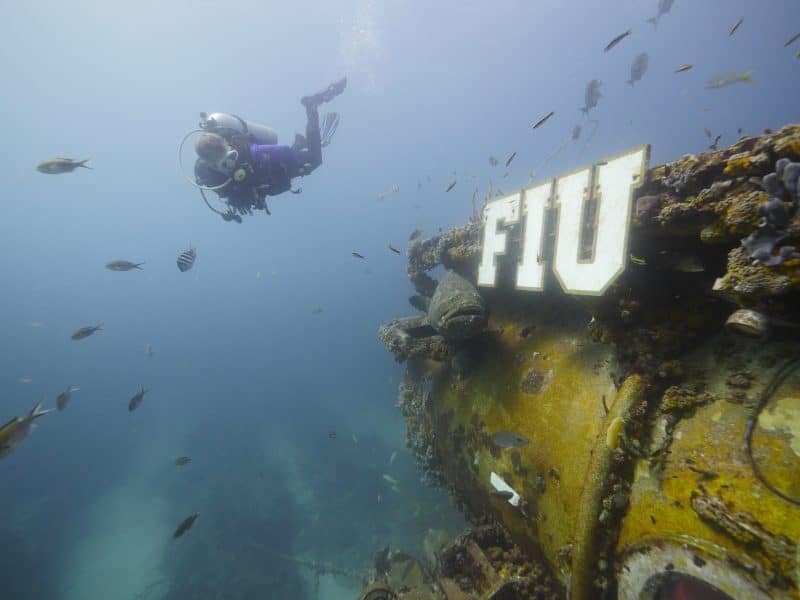 The old FIU research lab (the world’s only remaining underwater research lab left)