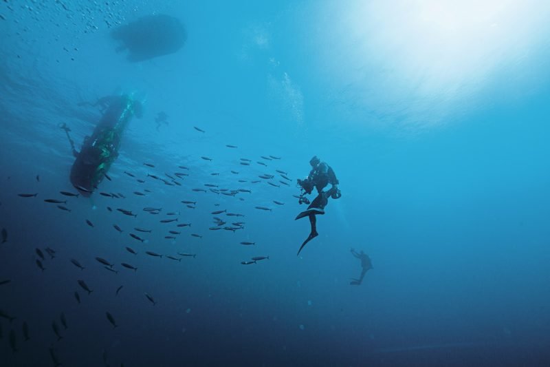 Watch Brands saving the oceans